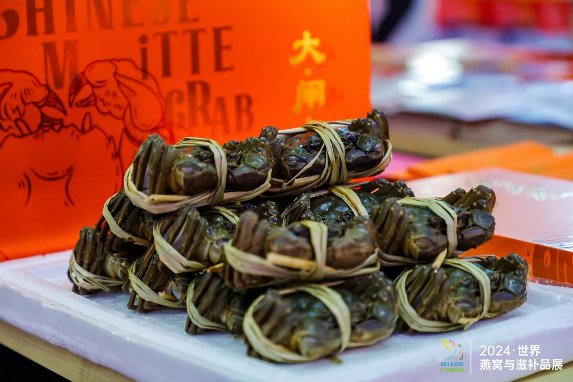 未标题-5 未标题-5